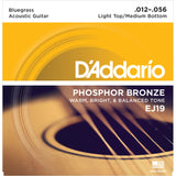 EJ19 Phosphor Bronze 12-56