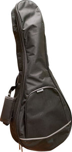 Profile Mandolin Bag for Beginners